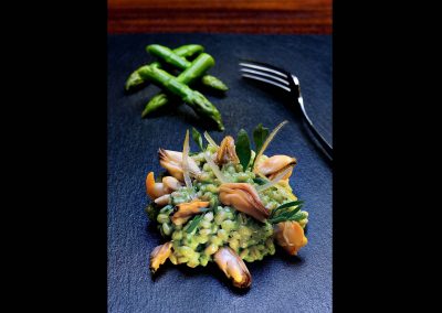 fish-photographer-mussels-ireland